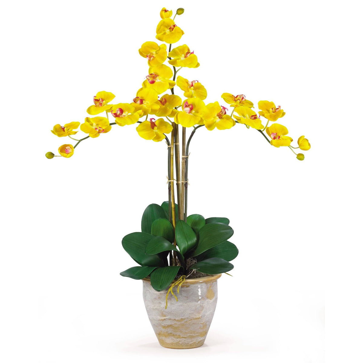 Triple Stem Phalaenopsis Silk Orchid Arrangement, photo 5 of 8