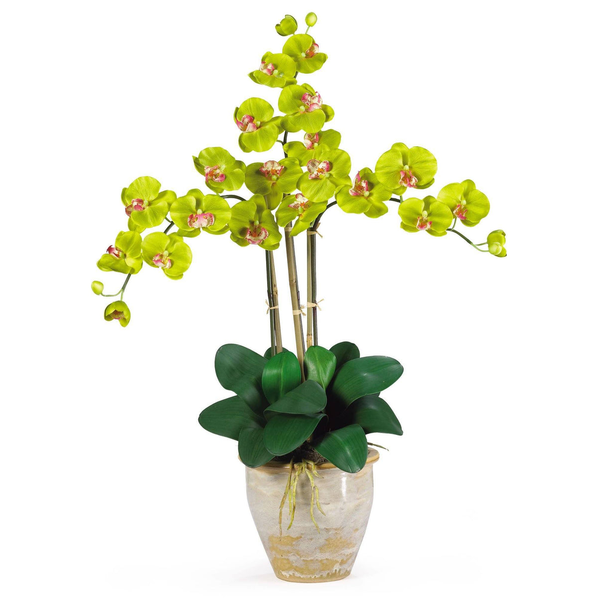 Triple Stem Phalaenopsis Silk Orchid Arrangement, photo 4 of 8