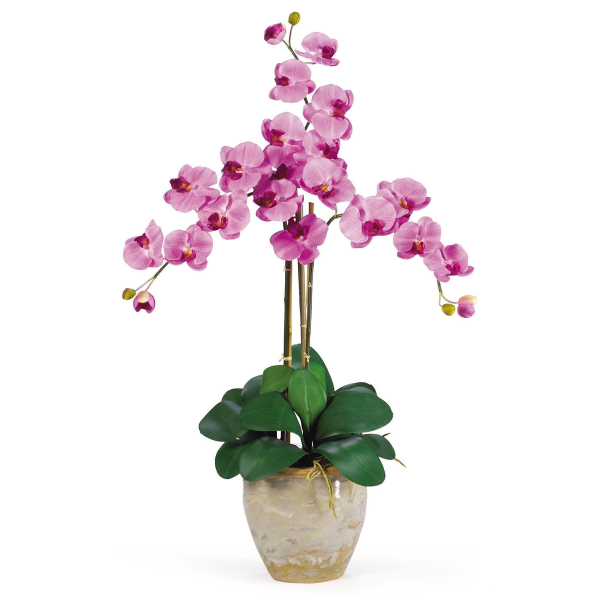 Triple Stem Phalaenopsis Silk Orchid Arrangement, photo 6 of 8