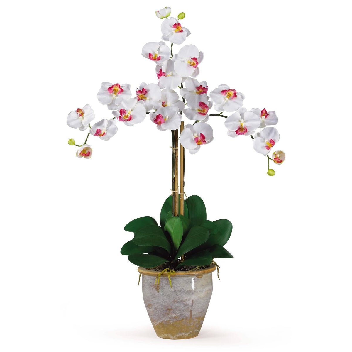 Triple Stem Phalaenopsis Silk Orchid Arrangement, photo 8 of 8