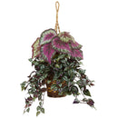 Wandering Jew and Begonia Hanging Basket