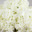 Wedding Collection 14" Artificial Hydrangea Arrangement in Glass Vase