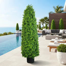 Bright Buxus Artificial Tree 47.2in – UV Resistant by Designer Plants USA