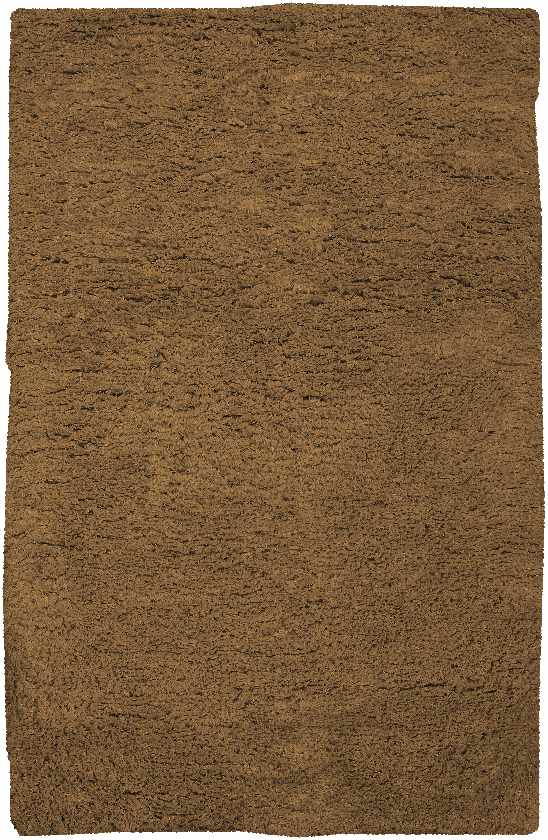 Apopka Modern Brown Area Rug