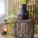 Asparagus Fern Vine Stem 51" Long