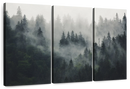 Misty Forest Mountain Wall Art