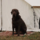16.5' Avalon Bell Tent by White Duck Outdoors