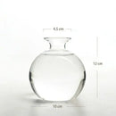 Clear glass avocado seed starter hydroponic vase for kitchen windowsills by Decorbites