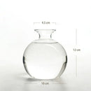Clear glass avocado seed starter hydroponic vase for kitchen windowsills by Decorbites
