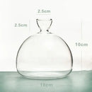 Clear glass avocado seed starter hydroponic vase for kitchen windowsills by Decorbites