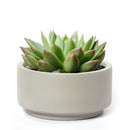 8.75 inch Smooth Gray Fiberstone Ceramic Pot