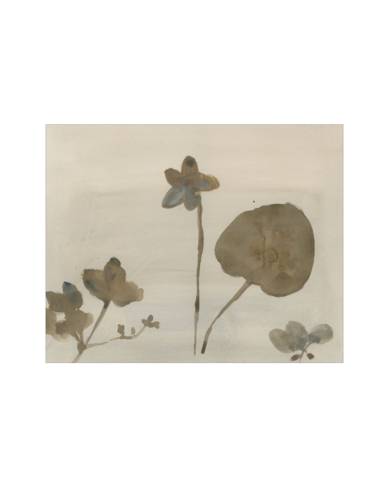 Botanical Thoughts III