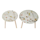 Nature-Inspired Side Tables (Set of 2) by HouseOfZazla