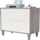 2 Drawer Lateral File Cabinet, Fits A4 / Letter / Legal - Gray / White by HouseOfZazla