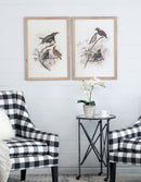 Bird Framed Print (Set of 2) - Multicolor by Unique Piece Furniture