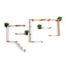 The Gardens - Modern Cat Tree with Plants