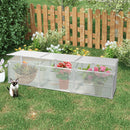 Polycarbonate Greenhouse For Outdoors In Winter - Silver by HouseOfZazla