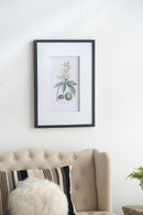 19.7x27.6 Botanical Wall Arts, Set of 2 by HouseOfZazla