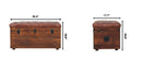 Buffalo - Storage Trunk by HouseOfZazla