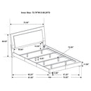 Felicity Wood California King LED Panel Bed White High Gloss
