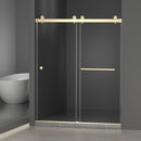 Frameless Shower Door with Double Sliding Design