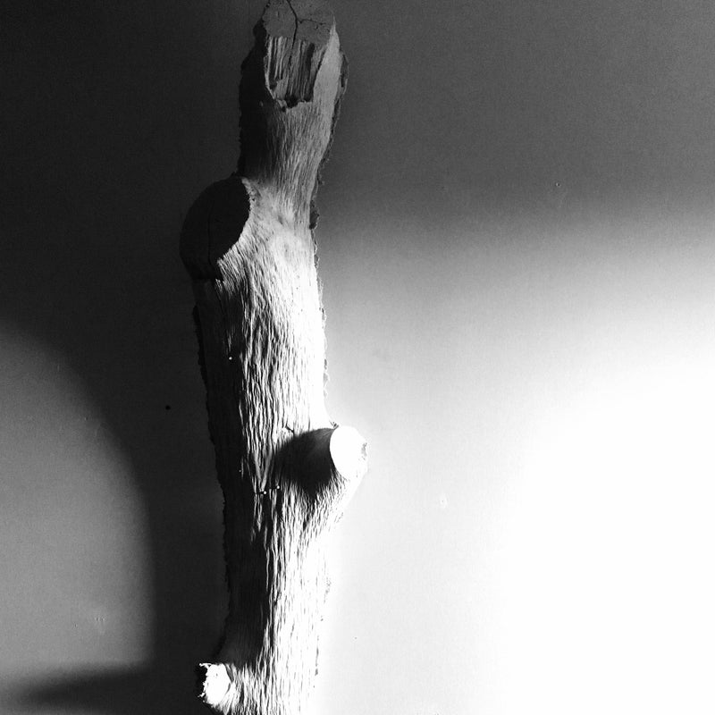 Light Weight Concrete Tree