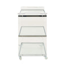 Elegant Acrylic Bar Cart With Tempered Glass Shelves And Rattan Metal Frame - Clear by HouseOfZazla