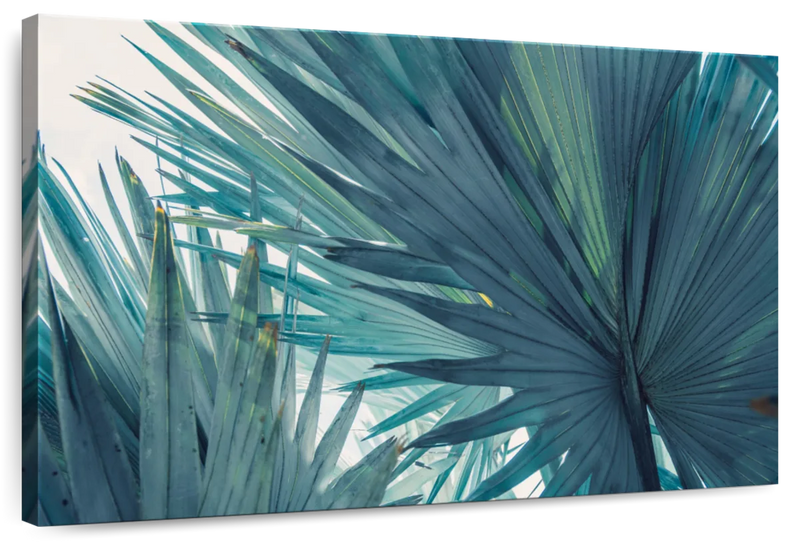 Bushy Palm Leaves Wall Art