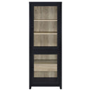 Denison 67-inch 2-door Media Tower Storage Cabinet Black