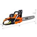 62Cc Gas Powered Chainsaw with 20" Oregon Chain & Bar by HouseOfZazla