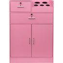 Locking Beauty Salon Storage Cabinet Hair Dryer Holder Stylist Equipment Drawer