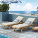Nebulon - Outdoor Adjustable Chaise Lounge With Water Resistant Cushions (Set of 2)