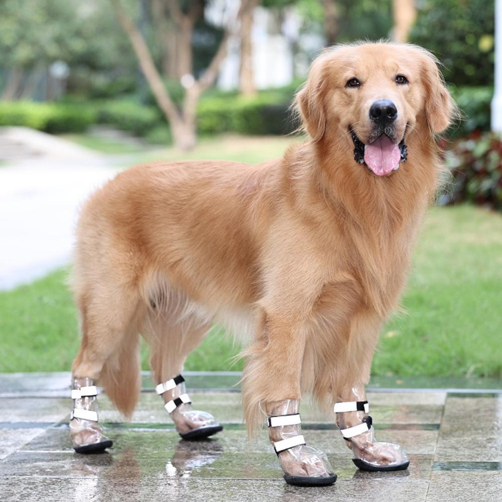 Waterproof Shoes For Pets Splash Proof Large Dogs, photo 4 of 6