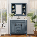 Bathroom Vanity With Top Sink, Mirror Cabinet, 2 Soft Closing Doors & 2 Drawers by Unique Piece Furniture