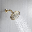 6 In. 6-Spray Balancing Shower Head Shower Faucet