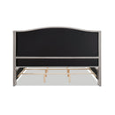 Marcella - Upholstered Shelter Headboard Bed Set by HouseOfZazla