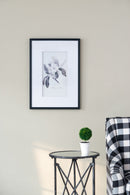 Botanical Wall Art Prints, Home Decor For Living Room Dining Room, Bedroom, Hallway (Set of 4) - White / Black by HouseOfZazla