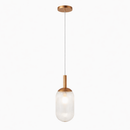 Modern Style Pendant Lamp - Bronze and Clear