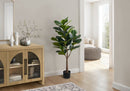 47" Tall Artificial Fiddle Tree Plant by HouseOfZazla