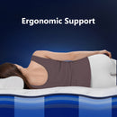 Bedstory Spine Align Pro 14" Twin Firm Pressure Relieving Cooling Hybrid Mattress by HouseOfZazla