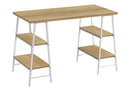 Computer Desk for Home Office with Storage Shelves by HouseOfZazla