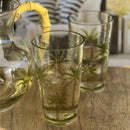 Palm Tree Design Acrylic Hi Ball Glasses Plastic, Bpa Free (Set of 4), 20Oz - Clear by HouseOfZazla