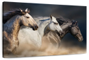 Magnificent Horses Wall Art