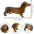 26'' Brown Dachshund Statue