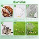 31×12×11" Heavy-Duty Folding Animal Trap | Humane Cage with Waterproof Cover