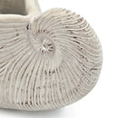 11.5x6.7x7.7" Sand and Cement Nautilus Shell Planter with Textured Beige Finish by HouseOfZazla