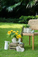11.5x6.7x7.7" Sand and Cement Nautilus Shell Planter with Textured Beige Finish by HouseOfZazla