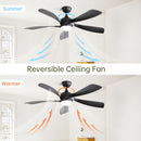 Ceiling Fan & DC Motor And Integrated Light by Unique Piece Furniture
