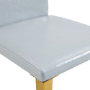 Modern Dining Chairs With Metal Legs by HouseOfZazla