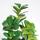 6FT Artificial Fiddle Leaf Fig Tree With Decorative Pot by HouseOfZazla